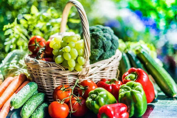 Variedad Verduras Frutas Orgánicas Frescas Jardín Dieta Equilibrada — Foto de Stock