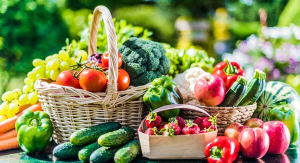 庭の新鮮な有機野菜や果物の様々な バランスの取れた食事 — ストック写真