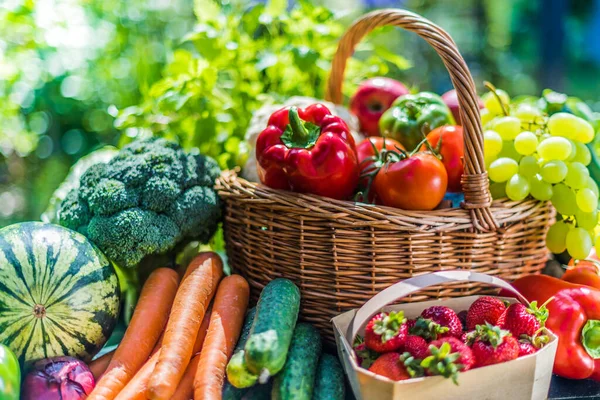 庭の新鮮な有機野菜や果物の様々な バランスの取れた食事 — ストック写真