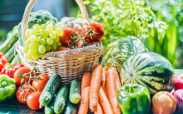 Vielfalt Frischem Bio Gemüse Und Obst Garten Ausgewogene Ernährung — Stockfoto