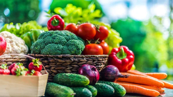 Variedad Verduras Frutas Orgánicas Frescas Jardín Dieta Equilibrada —  Fotos de Stock