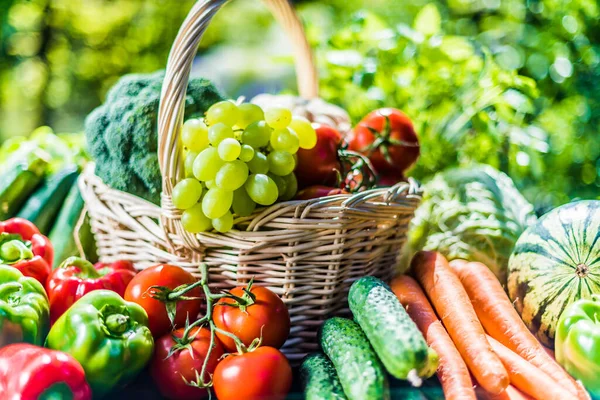 Ποικιλία Από Φρέσκα Βιολογικά Λαχανικά Και Φρούτα Στον Κήπο Ισορροπημένη — Φωτογραφία Αρχείου