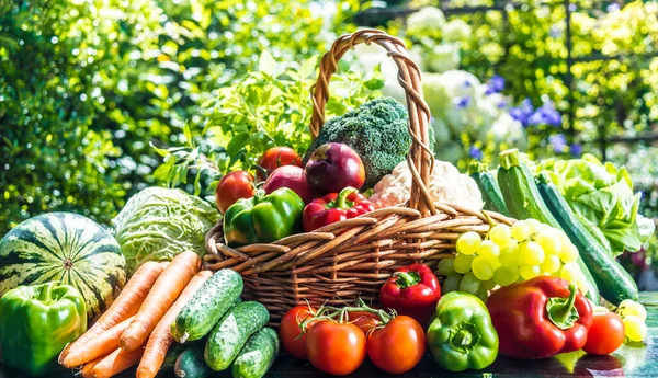 Ποικιλία Από Φρέσκα Βιολογικά Λαχανικά Και Φρούτα Στον Κήπο Ισορροπημένη — Φωτογραφία Αρχείου