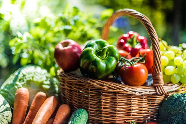 Mängd Färska Ekologiska Grönsaker Och Frukter Trädgården Balanserad Kost — Stockfoto