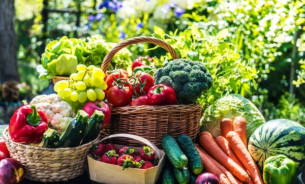 庭の新鮮な有機野菜や果物の様々な バランスの取れた食事 — ストック写真