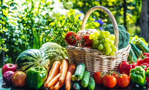 Variedad Verduras Frutas Orgánicas Frescas Jardín Dieta Equilibrada — Foto de Stock