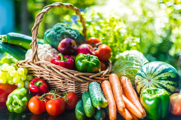 Variety Fresh Organic Vegetables Fruits Garden Balanced Diet — Stock Photo, Image