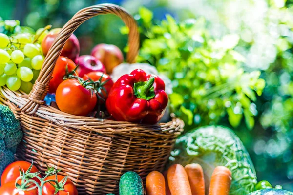 园中新鲜的有机蔬菜和水果种类繁多 均衡饮食 — 图库照片