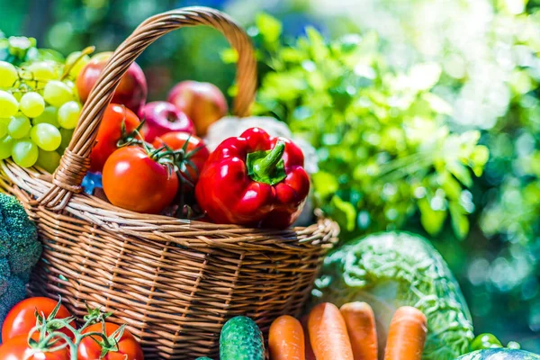 Variété Légumes Fruits Frais Biologiques Dans Jardin Régime Alimentaire Équilibré — Photo