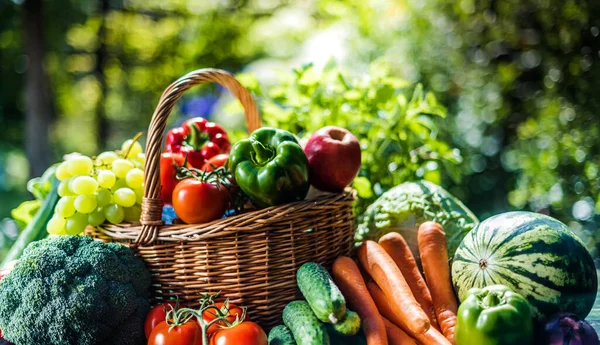 园中新鲜的有机蔬菜和水果种类繁多 均衡饮食 — 图库照片