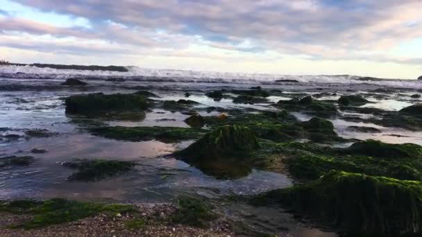 Olas Marea Mar Negro — Vídeos de Stock