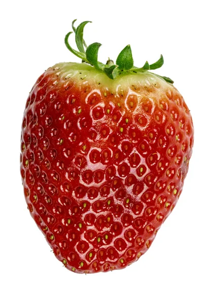 Single Big Red Strawberry Isolated Background White Color — Stock Photo, Image