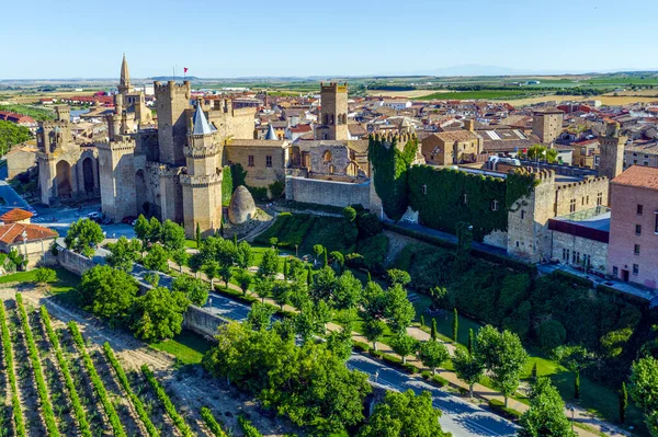 고대의 궁전이다 스페인 나바라에 코마르 카데타 팔라에 소도시와 도시이다 — 스톡 사진