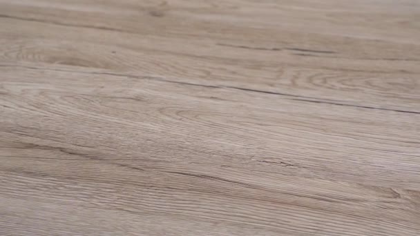 Oak Wood Flooring Dark Clear Natural Color Newly Installed Indoor — Stock Video