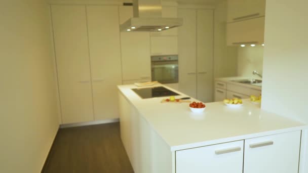 Moderní styl bílých kuchyňských skříní s plochými dvířky a zásuvkami, bílá kuchyňka, která je vyrobena z křemene a elektrické varné desky, dekorativních jídel a desek. Koncepce designu kuchyně.