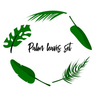 Tropikal vektör çiçek set. Çiçek koleksiyonu farklı palmiye yaprakları, egzotik STERLİÇYA çiçek renkli düz kolaj tarzı. Davetiye, tebrik kartları, düğün, giyim, gömlek t için dekorasyon öğeleri yazdırmak, vb