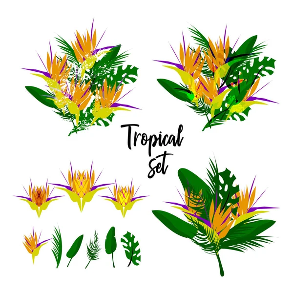 Bukiet Kwiatowy Kolaż Tropikalny Wektor Palm Różnych Liści Strelitzia Egzotyczny — Wektor stockowy