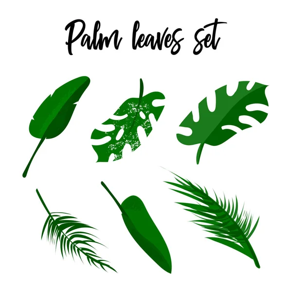 Tropikal vektör çiçek set. Çiçek koleksiyonu farklı palmiye yaprakları, egzotik STERLİÇYA çiçek renkli düz kolaj tarzı. Davetiye, tebrik kartları, düğün, giyim, gömlek t için dekorasyon öğeleri yazdırmak, vb