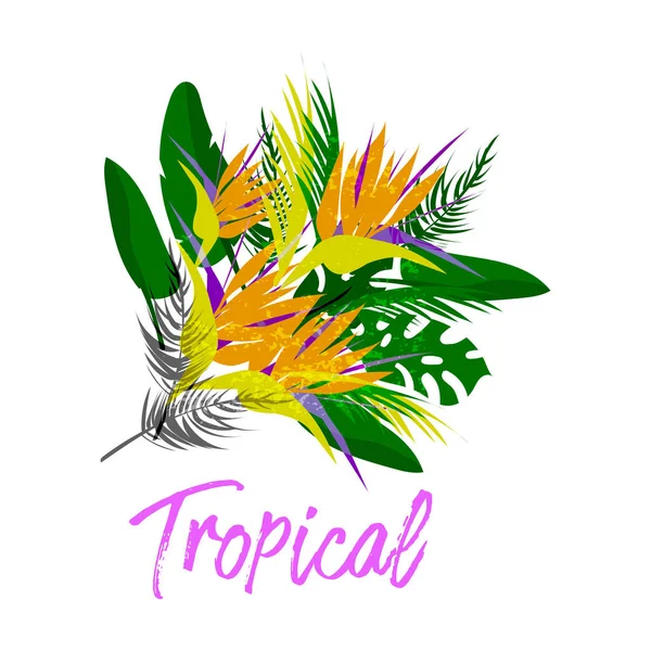 Vetor Tropical Buquê Colagem Floral Diferentes Folhas Palma Flor Estrelitzia — Vetor de Stock
