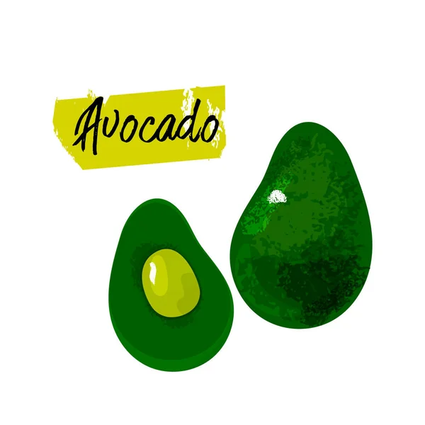 Gezonde Verse Biologische Groene Avocado Illustratie Handgeschilderde Getextureerde Afdrukken Gezond — Stockvector