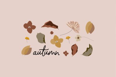 Botanik sonbahar çizimi