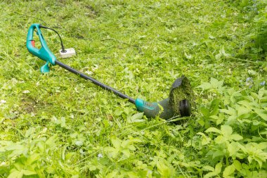 Çimen tarlasında yeşil çim biçme makinesi. Güneşli yaz gününde çimenlikte sulu çimenler ve çiçekler. Karahindiba yok etmek için elektronik budayıcı. Bahçe ot denetimi konsepti ve tasarım metni yeri 