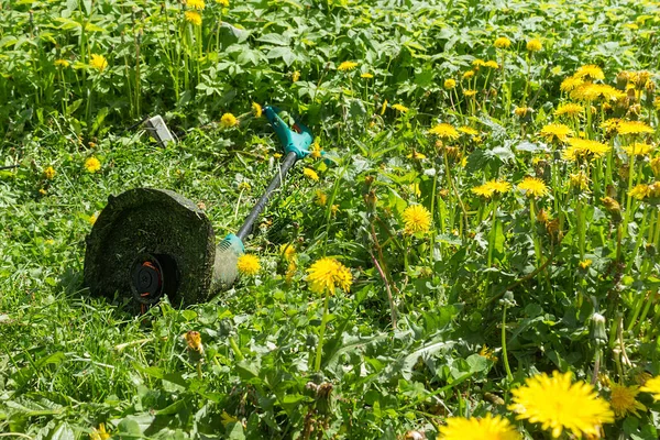 Çimen Tarlasında Yeşil Çim Biçme Makinesi Güneşli Yaz Gününde Çimenlikte — Stok fotoğraf