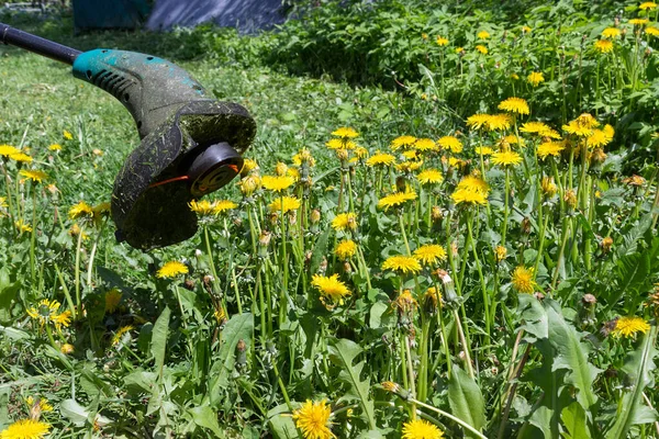 Karahindiba Tarlası Biçen Bir Çim Biçme Makinesinin Yakın Görüntüsü Yazın — Stok fotoğraf
