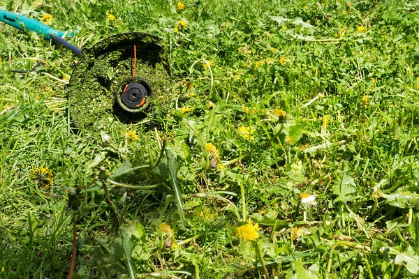 Grüner Rasenmäher Auf Einer Wiese Saftiges Gras Und Blumen Auf — Stockfoto