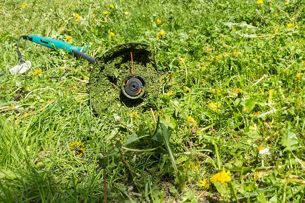 Cortacésped Verde Campo Hierba Hierba Jugosa Las Flores Césped Día — Foto de Stock