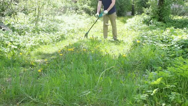 Een Mannelijke Werker Maait Het Gras Het Gazon Met Een — Stockvideo