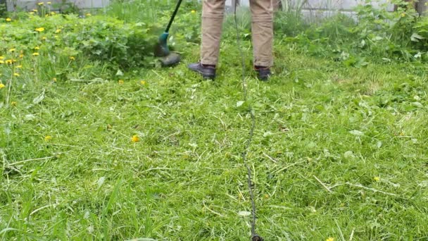 凶残的男性园丁修剪青草 手里拿着有男子气概的小割草机 杂草飞向不同方向 夏园的杂草和蒲公英的控制 — 图库视频影像