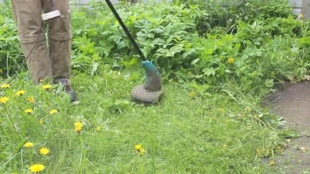 Brute Mannelijke Tuinman Maait Hoog Groen Gras Houdt Mannelijke Handen — Stockvideo