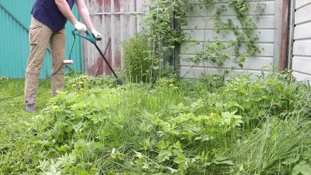 残酷な男性の庭師は 手動で小さな芝生の芝刈り機を手に保持背の高い緑の草を刈る雑草の異なる方向に クローズアップ飛んでいます 夏の庭で雑草やタンポポの制御 — ストック動画