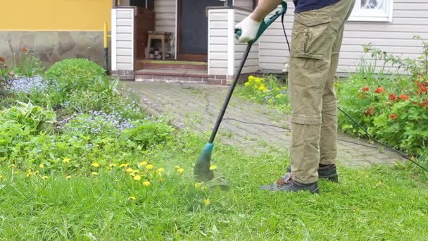 Brutale Giardiniere Maschio Falcia Erba Alta Verde Tenendo Mano Virile — Video Stock