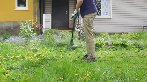 Brutalny Ogrodnik Kosi Wysoką Zieloną Trawę Trzymając Męskich Dłoniach Małą — Wideo stockowe