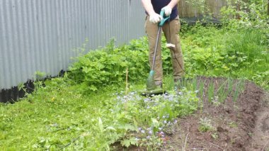 Bir erkek işçi çimleri biçme makinesiyle biçiyor. Central Park 'ta çim biçen profesyonel bahçıvan. Virüs salgınından sonra fazla büyümüş ot.