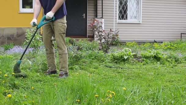 青いTシャツと医療用マスクの背の高い男が芝刈り機で芝生を刈る 暖かい夏の天気 草の風に移動します 民家の庭で雑草やタンポポの制御 — ストック動画