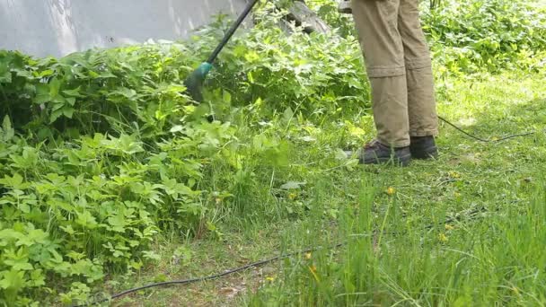 Operaio Maschio Falcia Erba Sul Prato Con Tosaerba Giardiniere Professionista — Video Stock