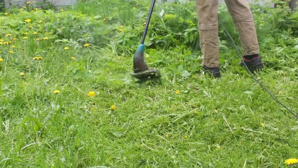 Vysoký Muž Modrém Tričku Lékařské Masce Seká Trávník Elektrickou Sekačkou — Stock video