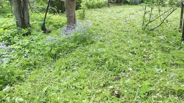 一个穿着蓝色T恤和医疗面罩的高个子男人用电动割草机修剪草坪 温暖的夏天天气 草地在风中飘扬 私家花园的杂草和蒲公英控制 — 图库视频影像
