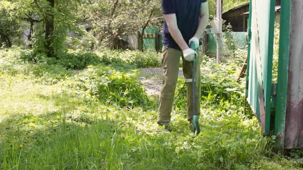 庭師は 生の草から庭で作業している間に電動トリマーをきれいにします 地方公共団体や民間労働者の夏の仕事 — ストック動画