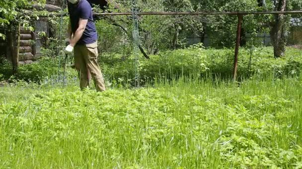 青いTシャツと医療用マスクの背の高い男が芝刈り機で芝生を刈る 暖かい夏の天気 草の風に移動します 民家の庭で雑草やタンポポの制御 — ストック動画