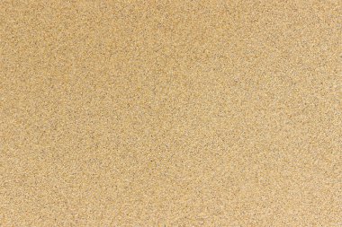 Sıcak kumsalda köpüklü ve berrak bir deniz dalgası. Tasarım ve metin için yer. 2020-2021 tatilleri için yurt dışında yeni yıl tatili kavramı.