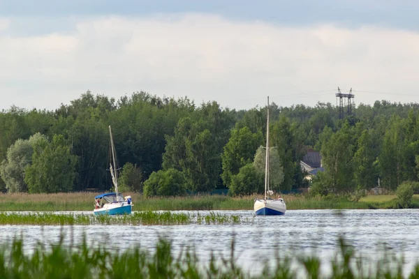 Två Segelbåtar Seglar Grund Flod Mot Bakgrund Skog Sommardag Segling — Stockfoto
