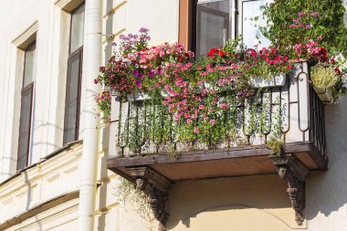 Sıcak balkon ve renkli saksı çiçekleri. Rusya ve Avrupa 'nın güzel mimarisi. Romantizm kavramı