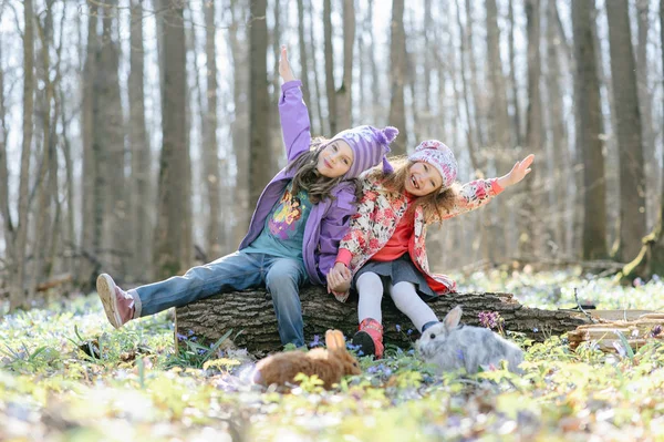 Kleine Meisjes Het Forest — Stockfoto