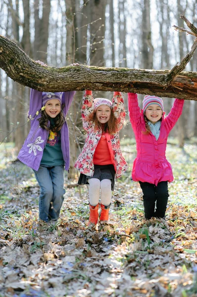 Kleine Girsl Met Een Konijn — Stockfoto