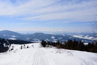 Güneş ışığı tarafından sabah parlayan görkemli kış manzarası. Dramatik kış sahne. Konumu Karpat, Ukrayna, Avrupa. Güzellik dünya. Retro ve vintage tarzı, yumuşak filtre. Etkisi tonlama Instagram.