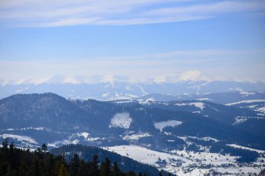 Güneş ışığı tarafından sabah parlayan görkemli kış manzarası. Dramatik kış sahne. Konumu Karpat, Ukrayna, Avrupa. Güzellik dünya. Retro ve vintage tarzı, yumuşak filtre. Etkisi tonlama Instagram.